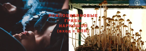 MDMA Богородицк